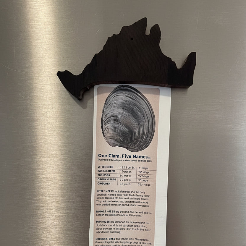 Magnetic Bottle Opener