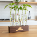 Marthas vineyard design propagation station